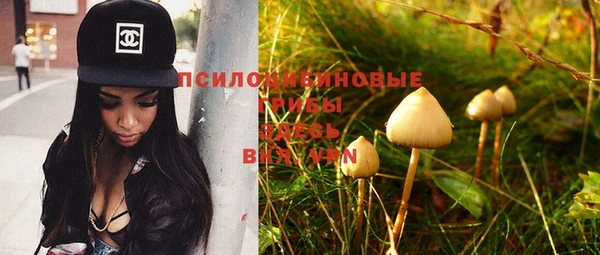эйфоретик Волосово