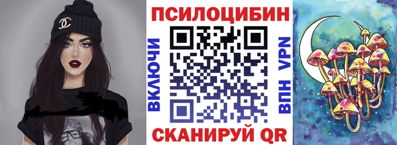 Галлюциногенные грибы Psilocybe  Вологда 